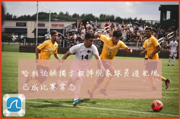 哈利伯顿揭示假摔现象球员造犯规已成比赛常态